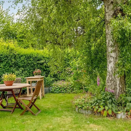 Stunning In With Wifi *